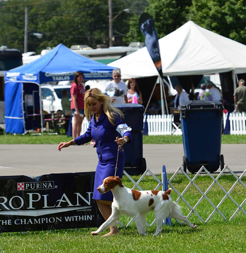 Trace showing with Amy Booth